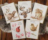 Woodland Birthday Variety Greeting Cards