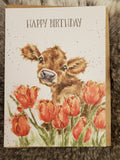 Country Birthday Variety Greeting Cards
