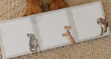A Dog's Life Sticky Note Trio